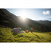 Палатка треккинговая 3-местная TREK 900 Ultralight FORCLAZ